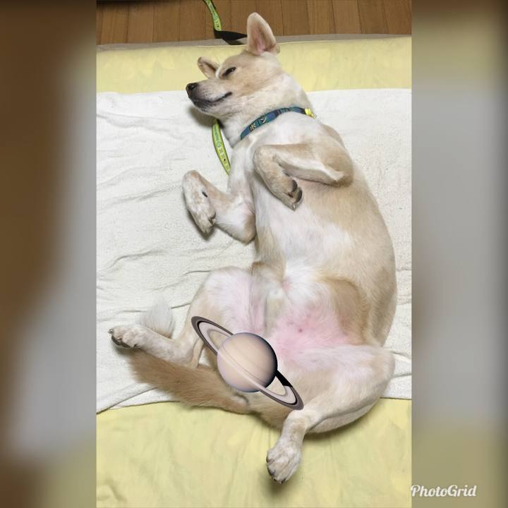 20654b69 af5e 4181 b842 e15f459a3cd5 1532185601524