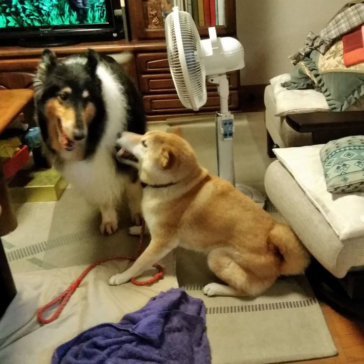 20656142 74e7 4d08 92ff 1ba2519406c1 1564981692037