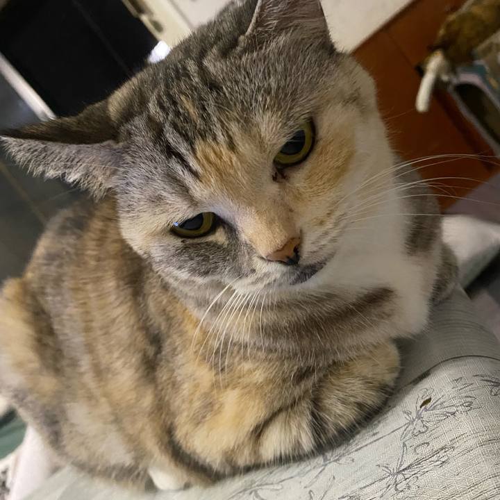 2065769d e62e 4707 9e82 c37d6bac0572 1663591702779