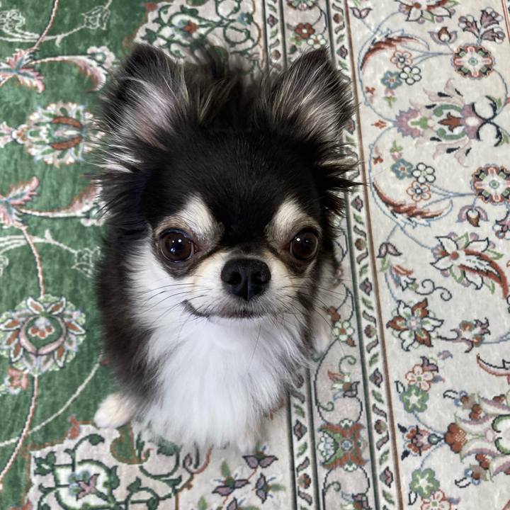 20657d2e 3a96 4d2e 98e2 d1030e22e68a 1657439147567