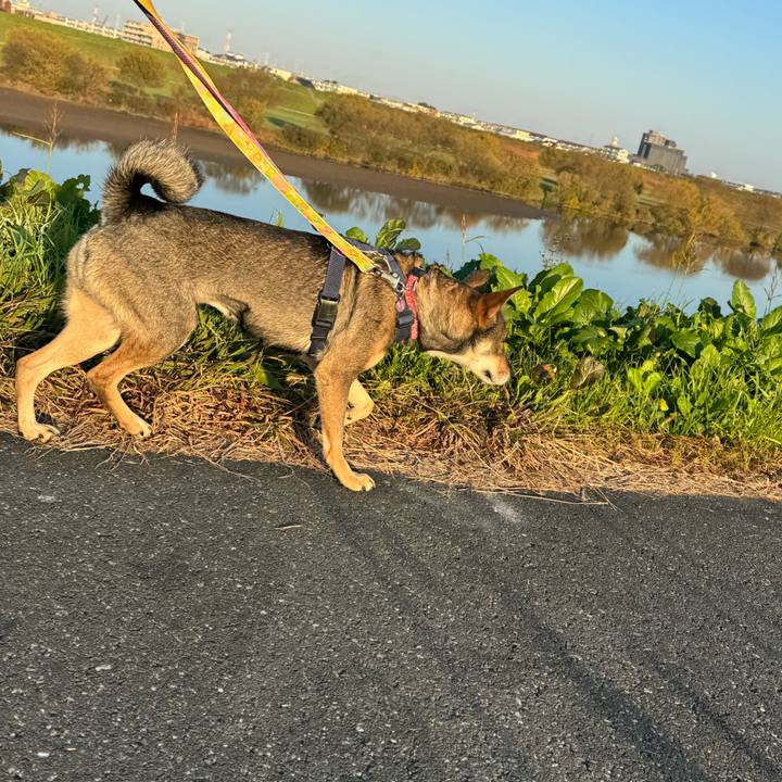 20658552 cc52 416e 8678 d27a0308807e 1764472073029