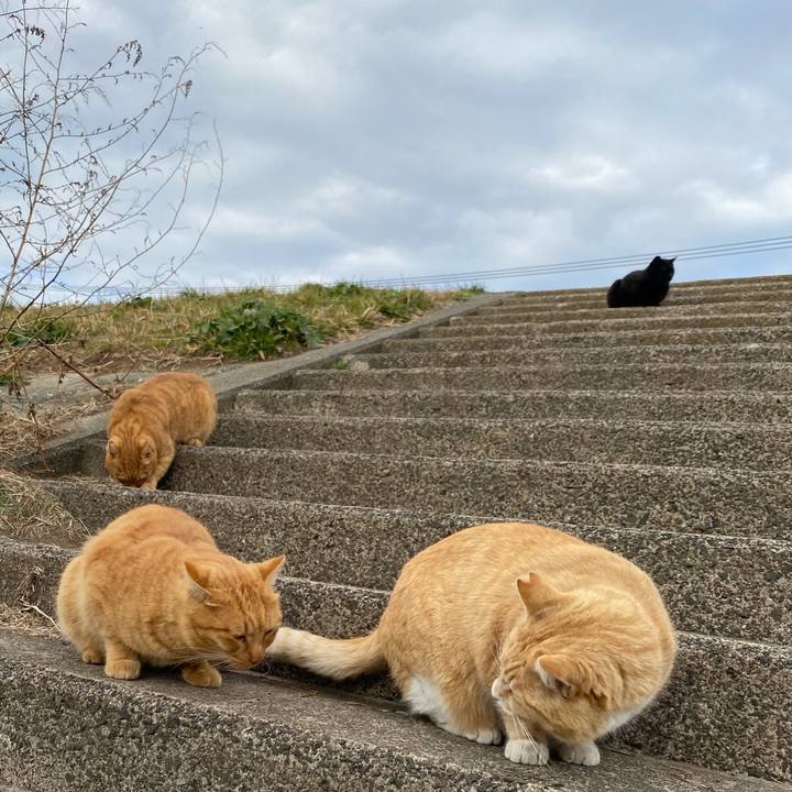 2065914e ca0f 499a 840c 0b010ee9b59f 1643361117437