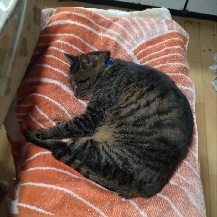 2065fcb8 acf2 40c6 8839 687487750af9 1735284008867