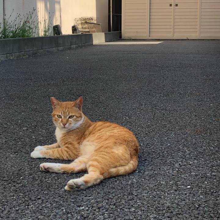 2066032e b4f0 464e 9bb3 61352869fac9 1589720532977