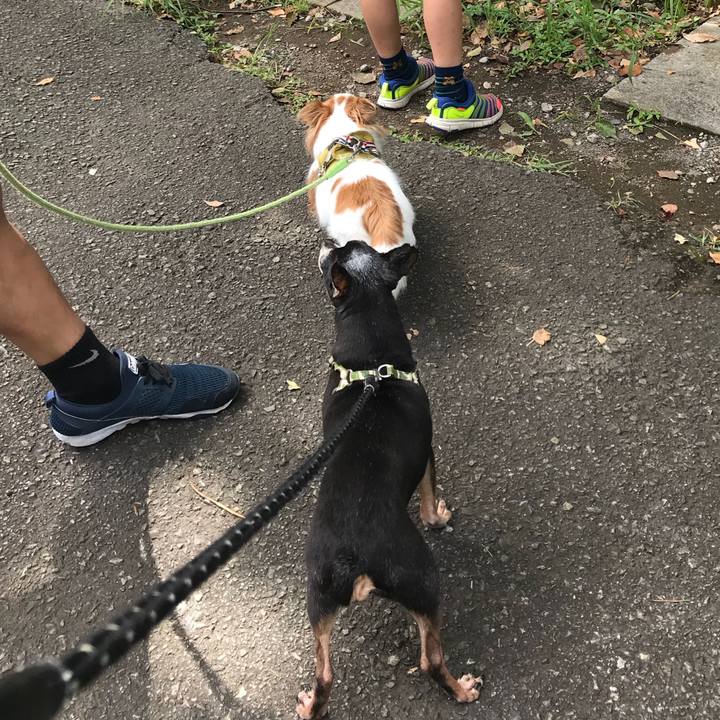 20660d7c 752c 4ca2 bbe2 9c7b717ffcca 1568517772726