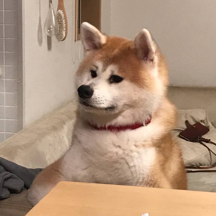 2066109d da81 4fe0 b072 fd10c6722808 1508669705610