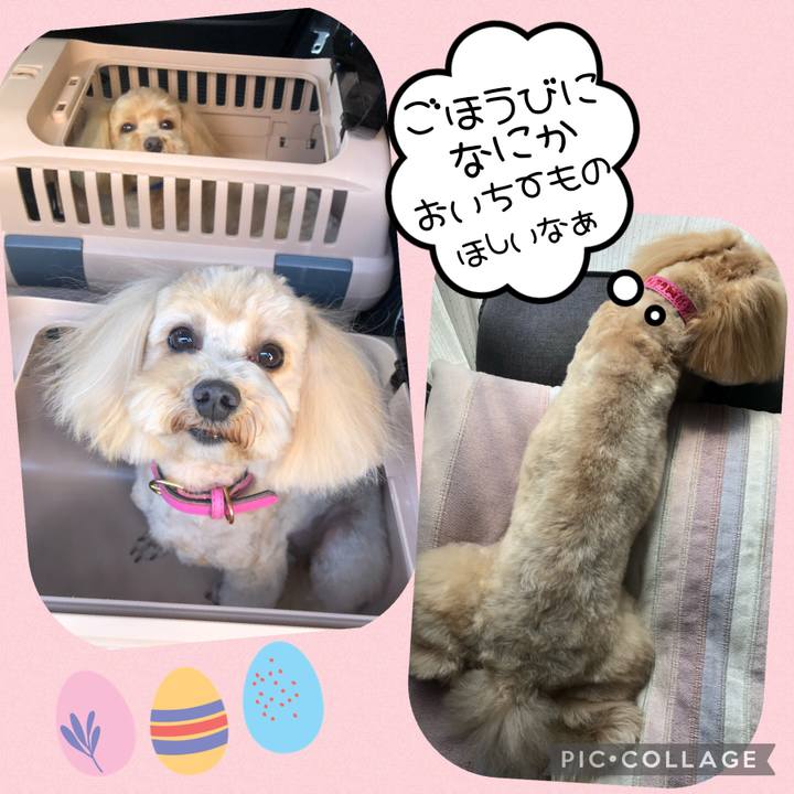 20661327 5e01 4db4 b47c f82761b754fc 1617423945891