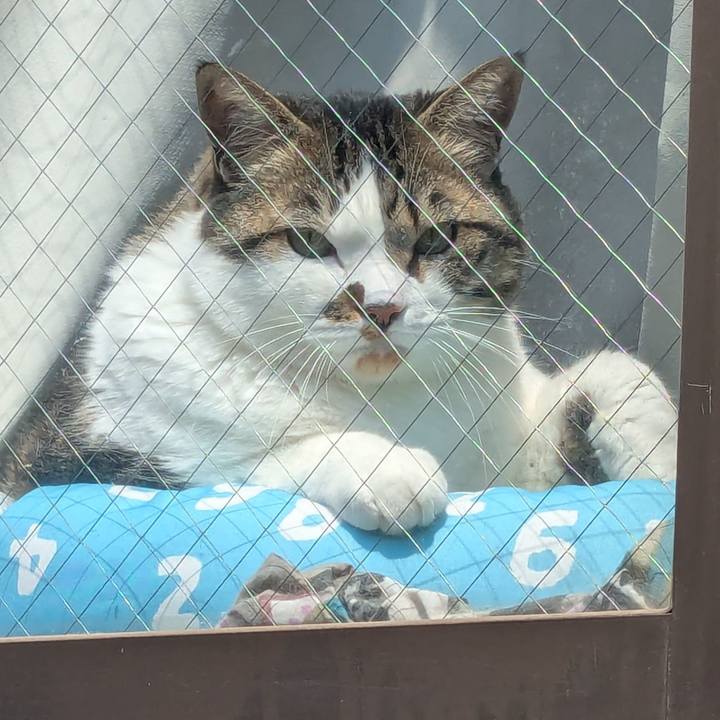 20661f3e 78f6 41cf b80f 6fe4cbfe7fa3 1746334114335