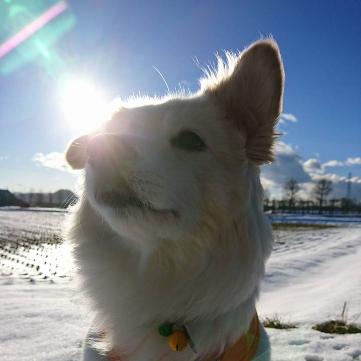 20663b21 e514 4ccf b576 9d3a87ec9b87 1515504466949