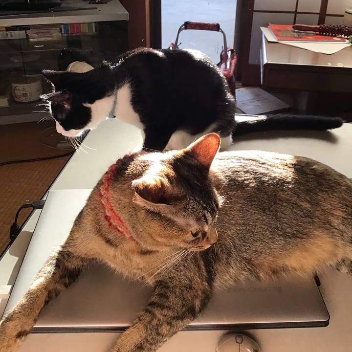 2066a499 e553 4031 932d 32761de69ecd 1632392654151