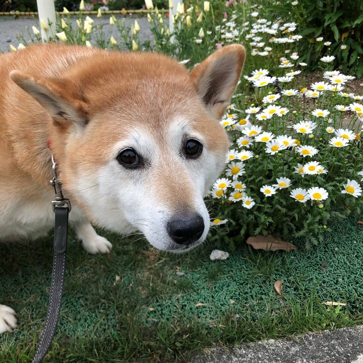 2066c48e 4555 44df b1b0 5f777fab7cc9 1758777601027