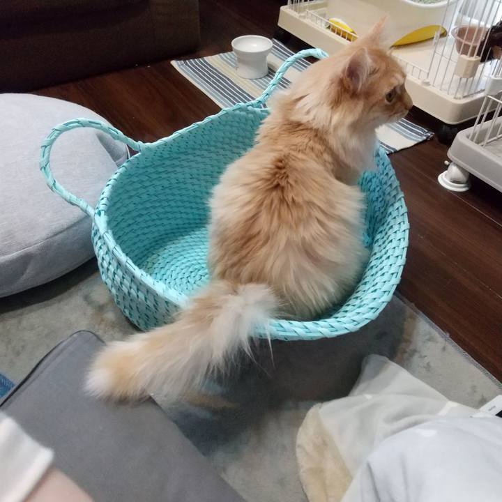 2066cbcc fd82 406f ab8c c0a2fd6c5c17 1649060735873