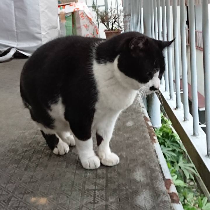 2066ef6a c814 459f 865e 7fcb63479ce1 1667596730046