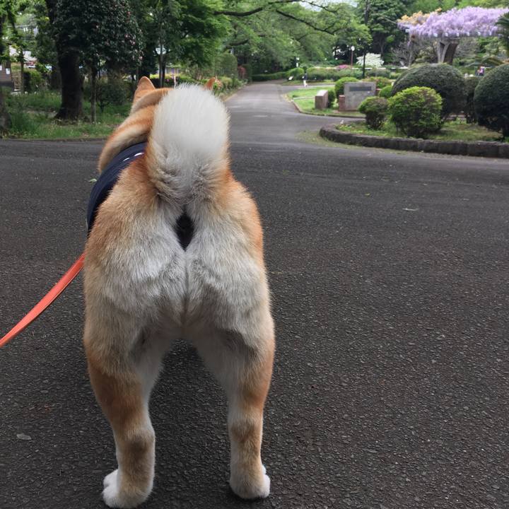 2066f24f 8646 4b61 9d5b 29298bf1bfcd 1556519608822