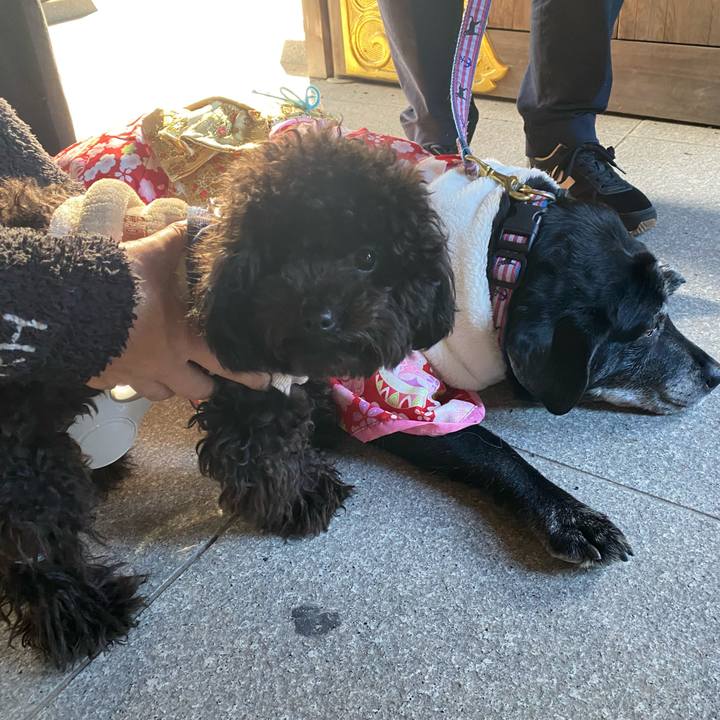 20673714 7fd6 4b94 8d0a 0d36a46db381 1672831299124