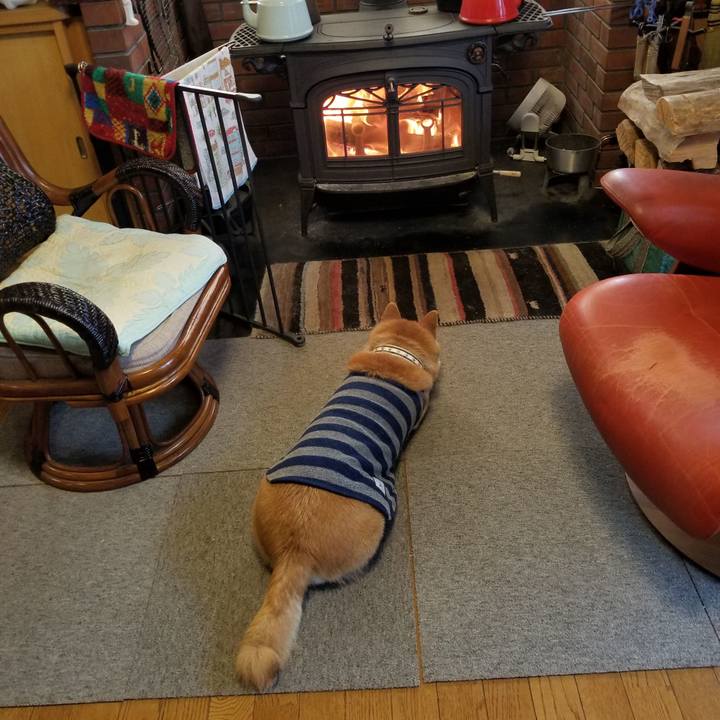 206739ed 0f7e 4e2e 9955 ca52da853281 1614207086297