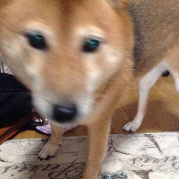 206746b9 0e1e 4817 8edb f32c63fc4ef7 1508472296817