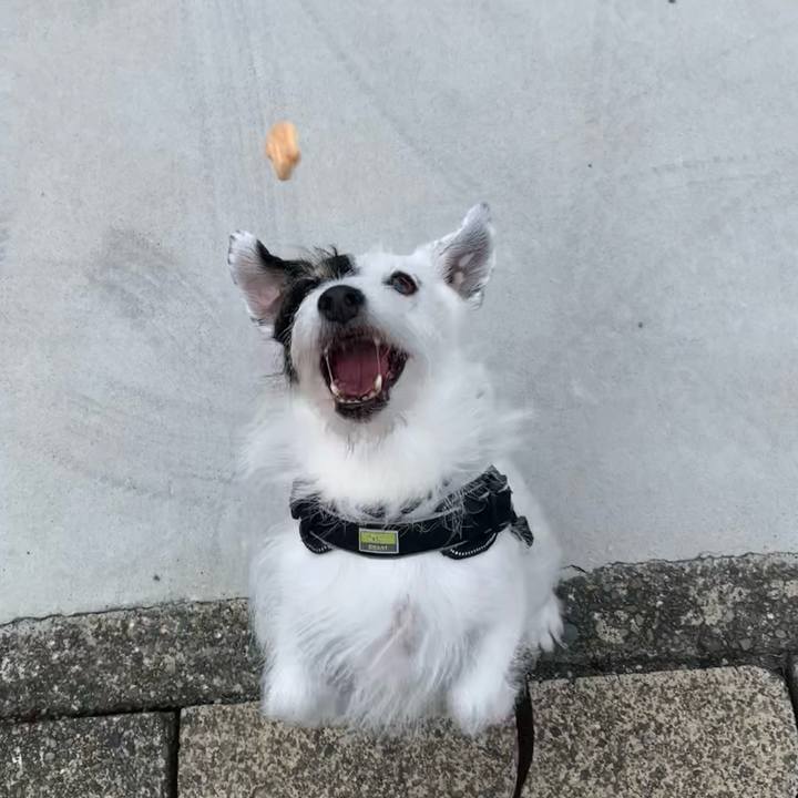 20678552 414e 4e10 a0e3 c61d40b9a86c 1754002631253