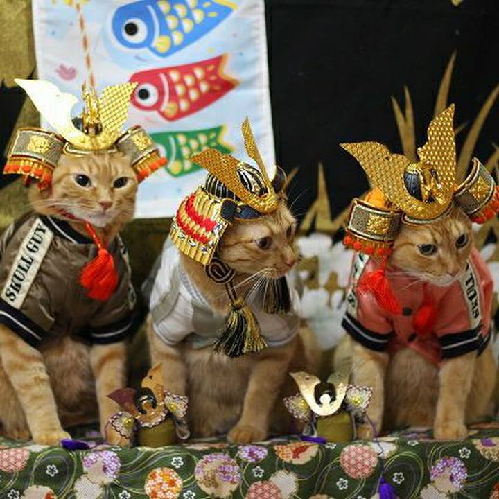 20678f9f cf8d 4af8 a11d 252238bd3499 1588605801738