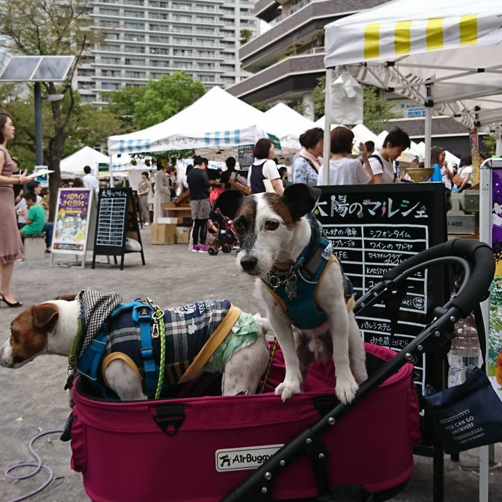 2067acad 4cb0 4e6c b710 c62efd4d9def 1568451420090