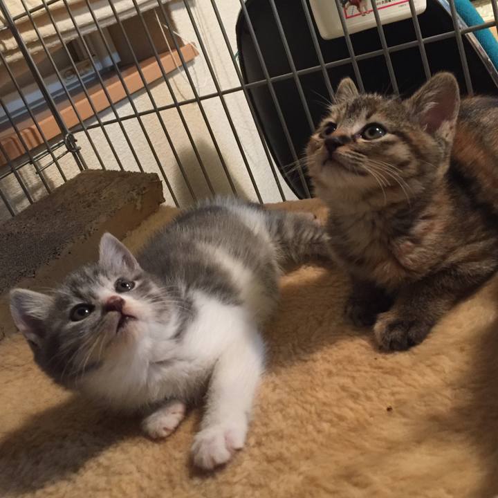 2067c124 cb9d 41fb 892a d8e0eed66e68 1541937218658