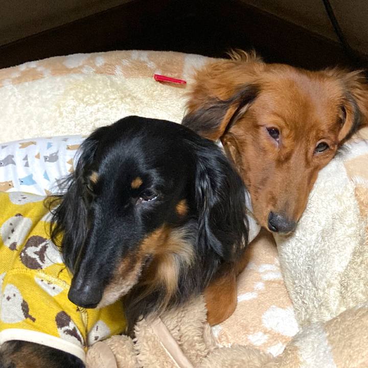 2067d963 260f 4138 a700 6a11c5296b48 1705150793886