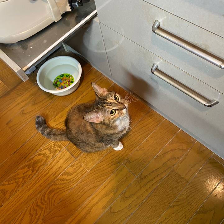 2067ed28 9114 4e95 9ebd 6a10bf127db7 1601819489537