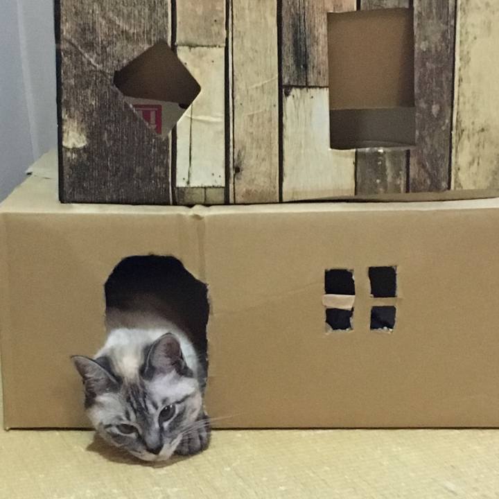 2067f0d6 2747 4f14 bdf7 42c22aa3cae0 1593087740011