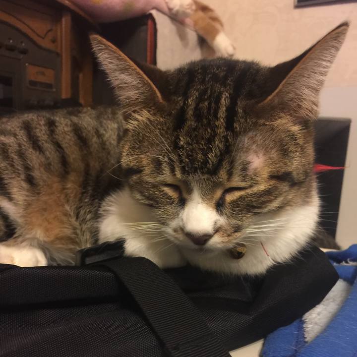 206821d5 6843 467d 8674 41997ae21dfa 1549724893620