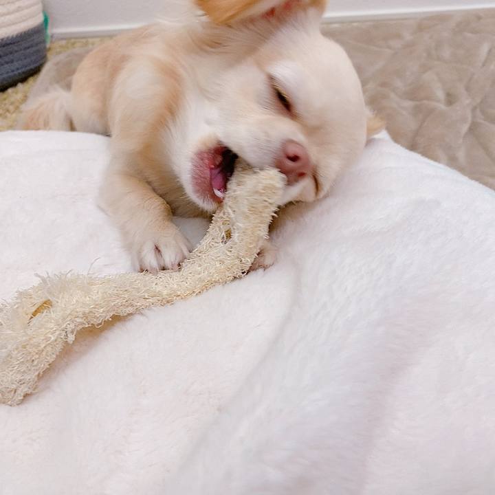 206823f2 4e21 4909 b9ad 0179500531c2 1615803633639