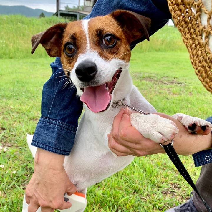 206844d7 0bc0 452c b61b b91453958a55 1564252606408