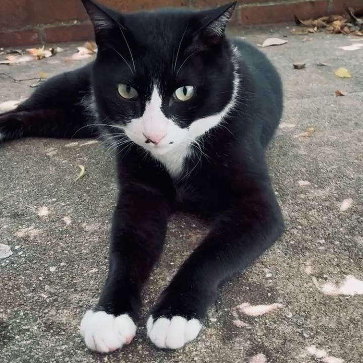 20687309 e810 4fe5 8bee 487b996c05f5 1751508678632