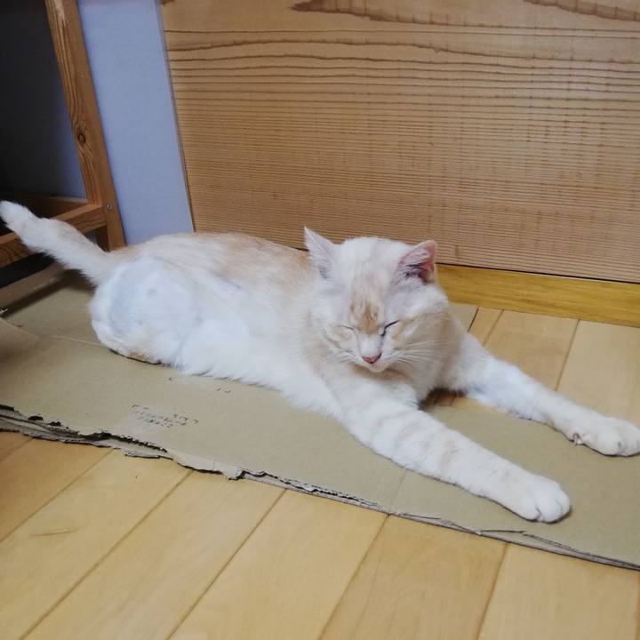 20687995 014e 4076 bef6 9b1460462189 1721861019487