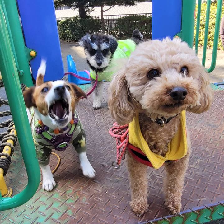 206891ed 4d8b 4f73 8d9a fc6b11dfa987 1710128801188