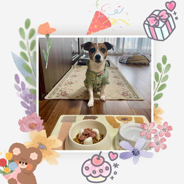 2068d4e8 e04c 4386 94f4 caa27d49bed9 1755768034715