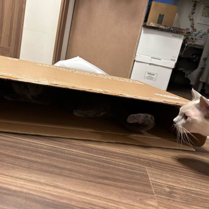 2068e691 7577 4ebb 898e 917f164c344a 1737361105307