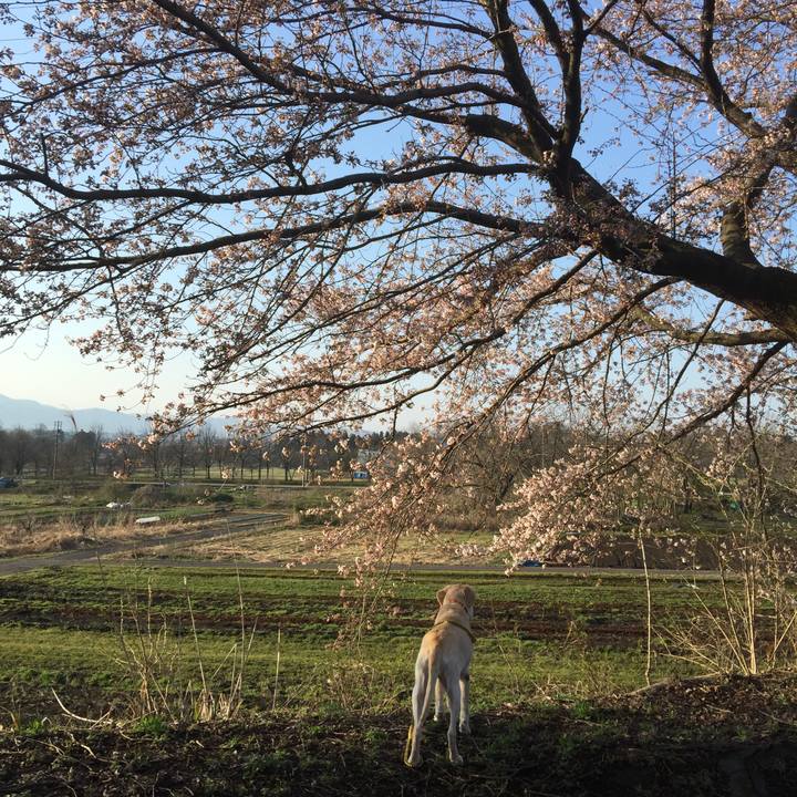 20691791 f4a0 4ea0 9440 b0cd58393f13 1581853503750