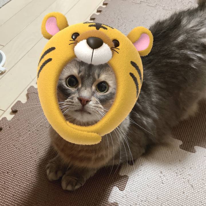 20691dca 2837 4ef3 b9c2 5a3f0dd0aa9f 1641127792955