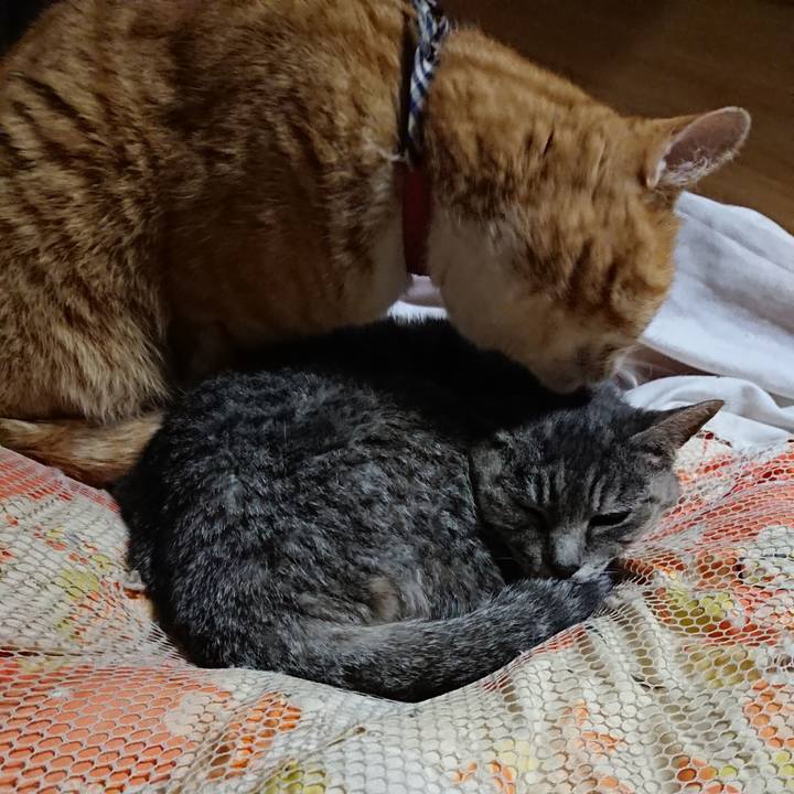 20697412 c2d8 464d ae8b 91ef154758a9 1574511897400