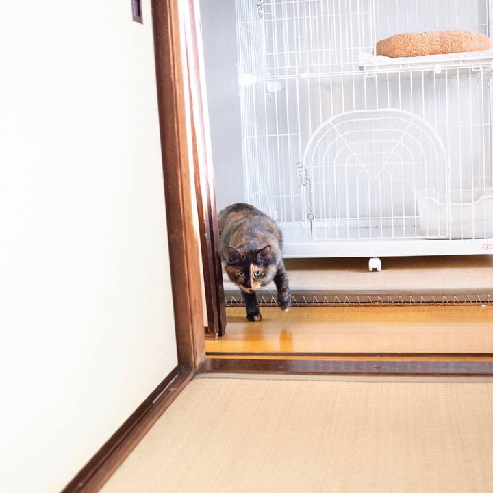 20697658 68fe 4cb2 8362 a9b2c189601d 1580869107336