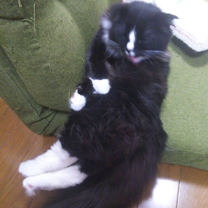 20697cd7 eca9 4b4d b6c0 7656fc55f88e 1649992399360