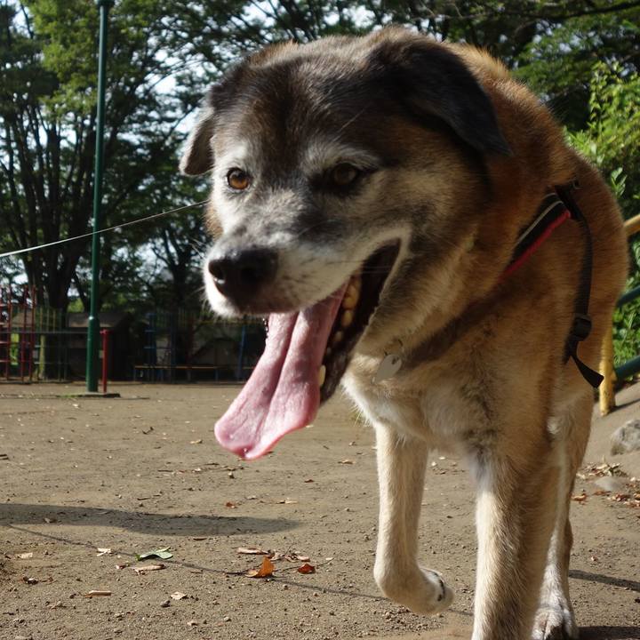 2069fbee bacb 4037 9f16 eae3748b9676 1564789280665