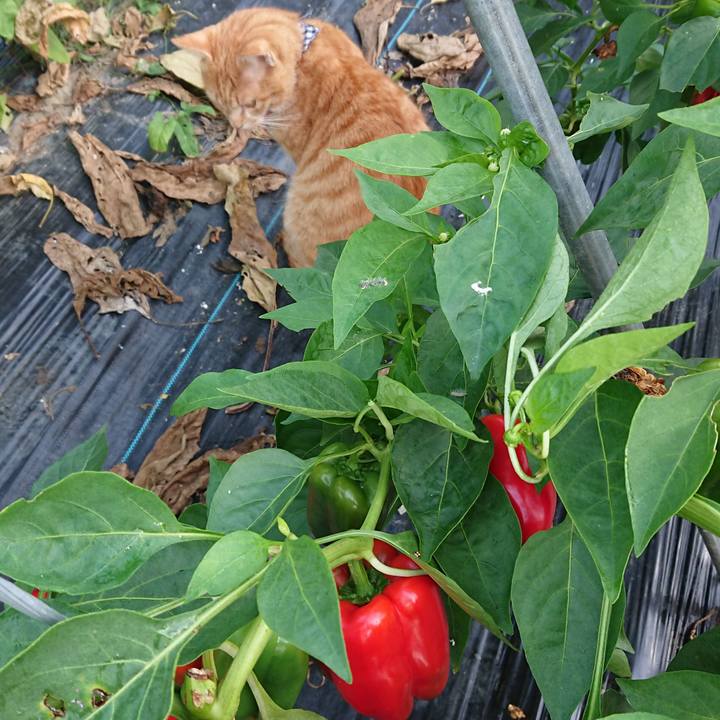 2069fef6 1355 4b80 8278 7901f30da2fa 1569014674899