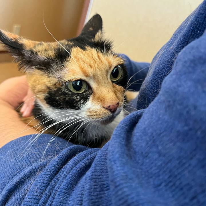 206a1731 a25f 4630 b6c6 2ac20a4a54c5 1669902894759