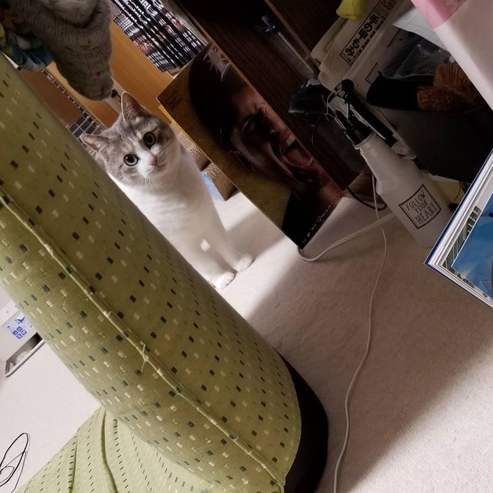 206a6b27 e59e 4b65 92a0 64ea0ef6b162 1603800108953