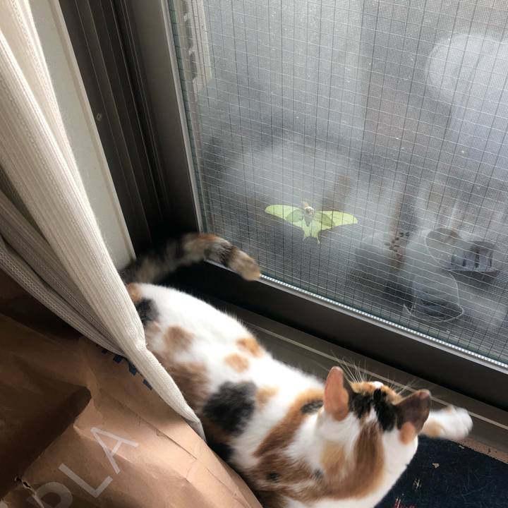 206a6e52 21d5 4494 a1cf a5766b2554ba 1592264042785