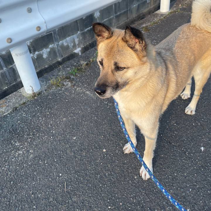 206a83ae b10a 4a69 a343 0af68d24f059 1654696464839