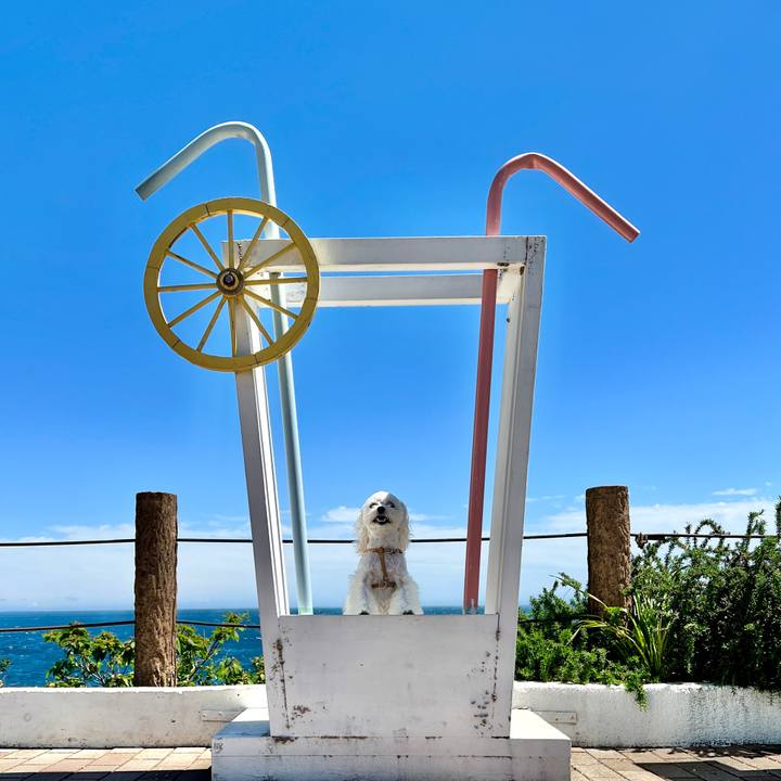 206a9682 2575 4853 975e 54c45f112b50 1681876874945