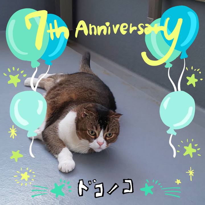 206a9eb1 d4cc 44cf 96a6 a8b8f2a21d2b 1685957938798