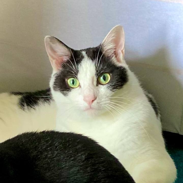 206abcd1 940a 4b79 85c8 d786f2461d11 1694788374487